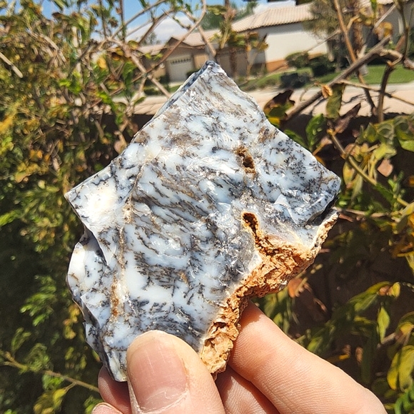 Semi Polished Beautiful Dendritic Opal Slab - Picture 10 of 17